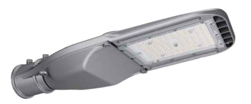 Imagen de RHODES MINI 